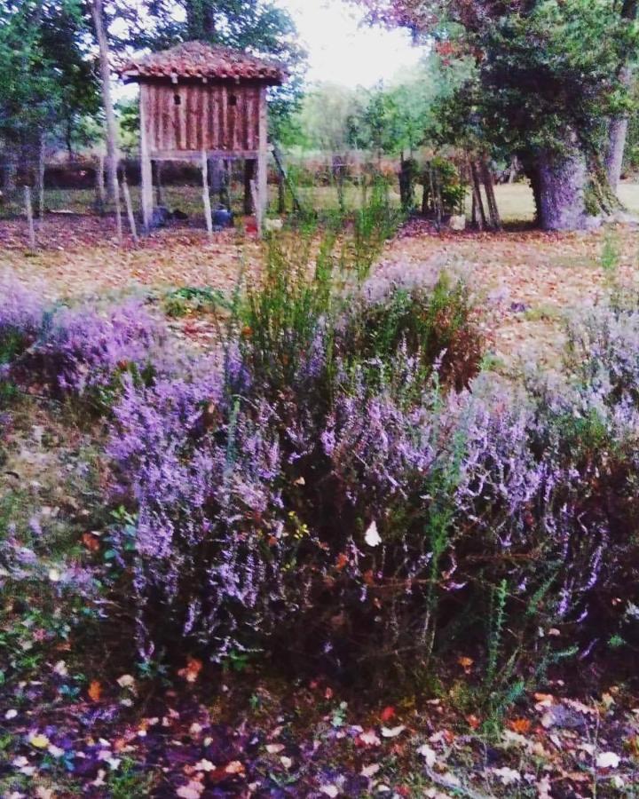 Les Hotes Des Guillemets Laglorieuse 外观 照片