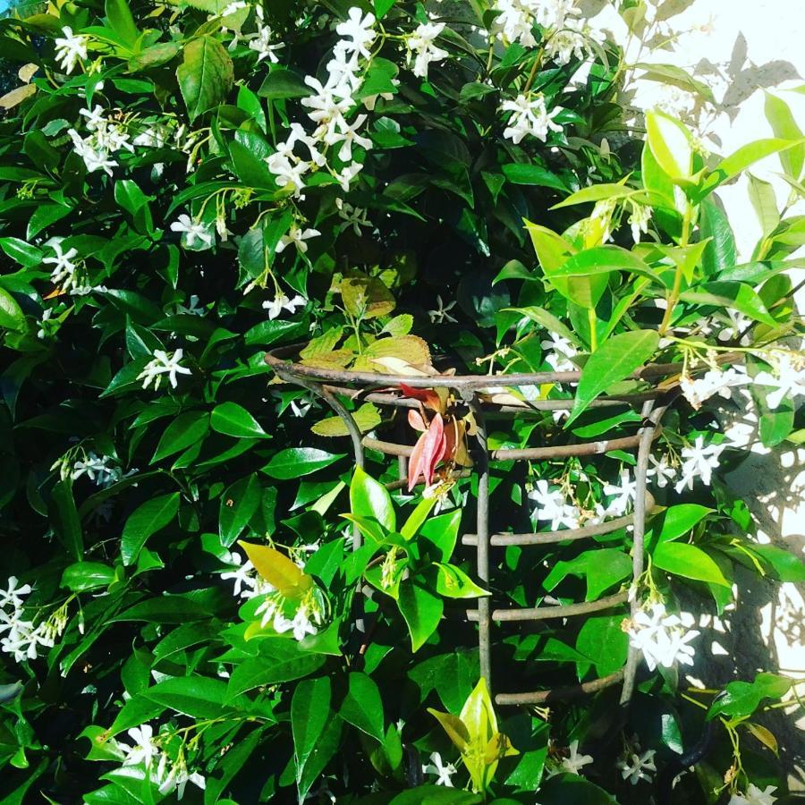 Les Hotes Des Guillemets Laglorieuse 外观 照片